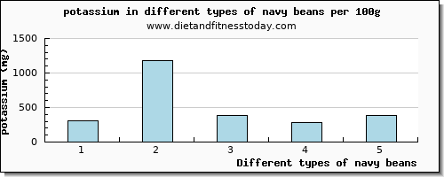 navy beans potassium per 100g